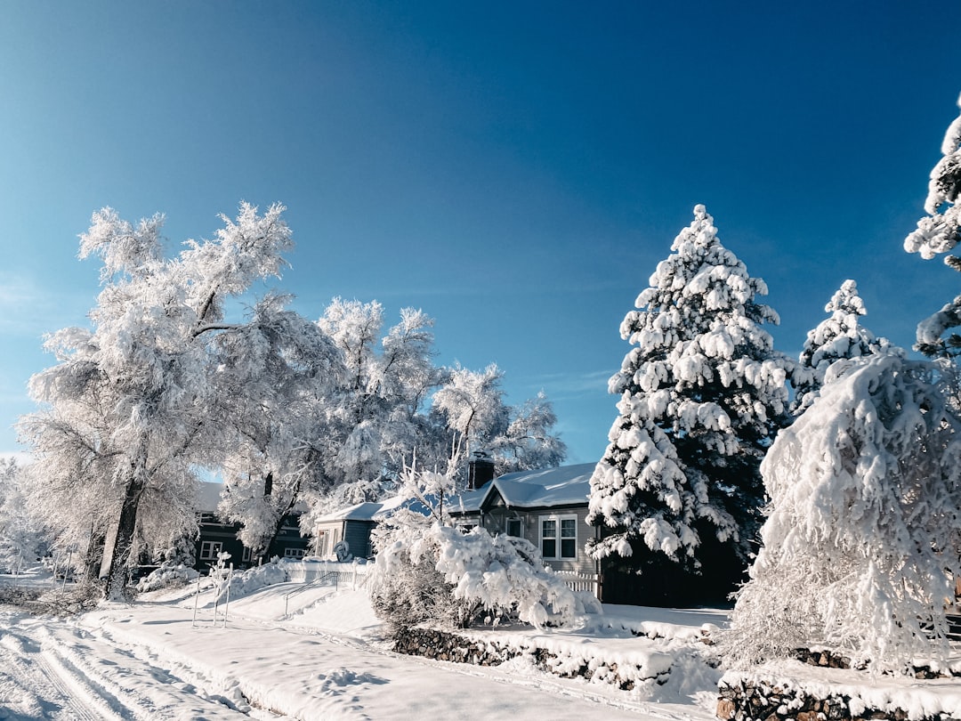 Winterizing a central AC unit outdoors